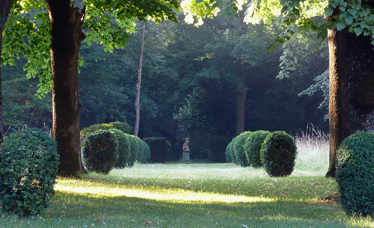 L'all&eacute;e du Loup